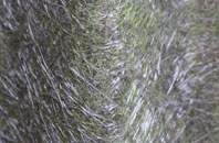 Sunny Bank fibreglass roof work